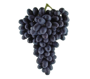 beauty-seedless-grape1